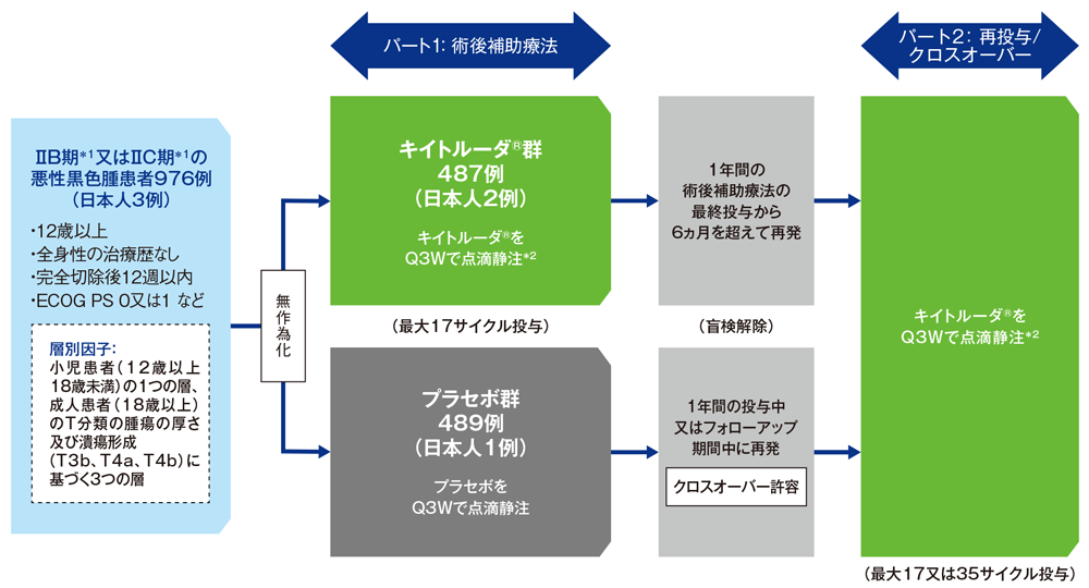 KEYNOTE-716試験（Adju.,Stage Ⅱ） | 臨床成績 | MSD Connect