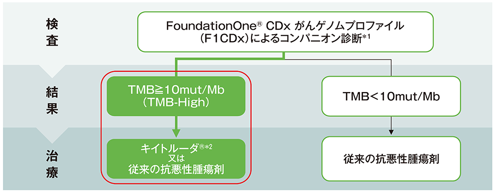 Tmbを測定する検査とは Msd Connect