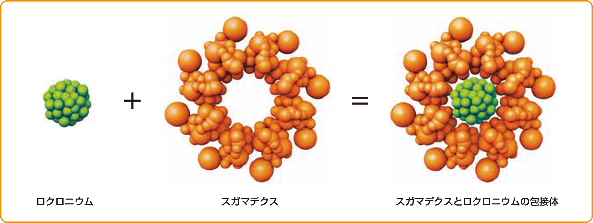 ブリディオン®の特性 | 基本情報・Q&A | MSD Connect