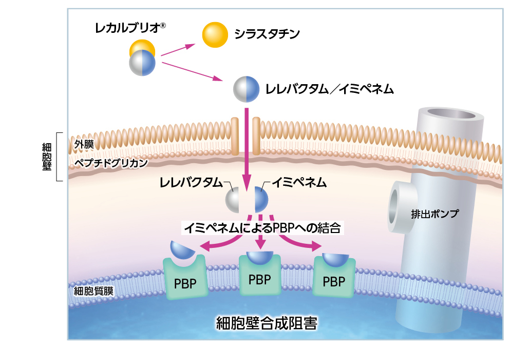 コレクション その他医療用効き