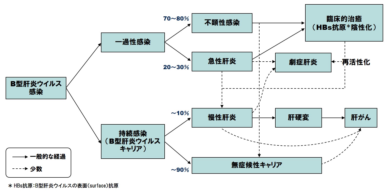 B型肝炎の特徴 | 基本情報・Qu0026A | MSD Connect