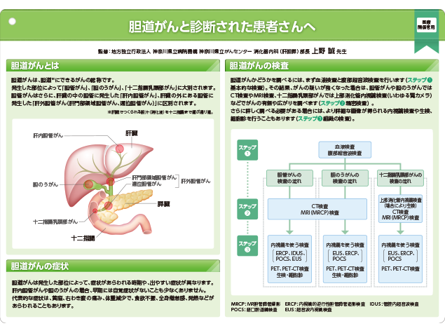 キイトルーダ®インフォームドコンセント用資料　患者説明用下敷き：＜胆道癌＞