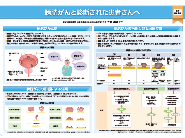 キイトルーダ®インフォームドコンセント用資料　患者説明用下敷き：＜膀胱・腎盂・尿管癌＞