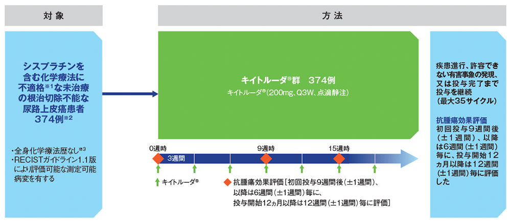 試験デザイン