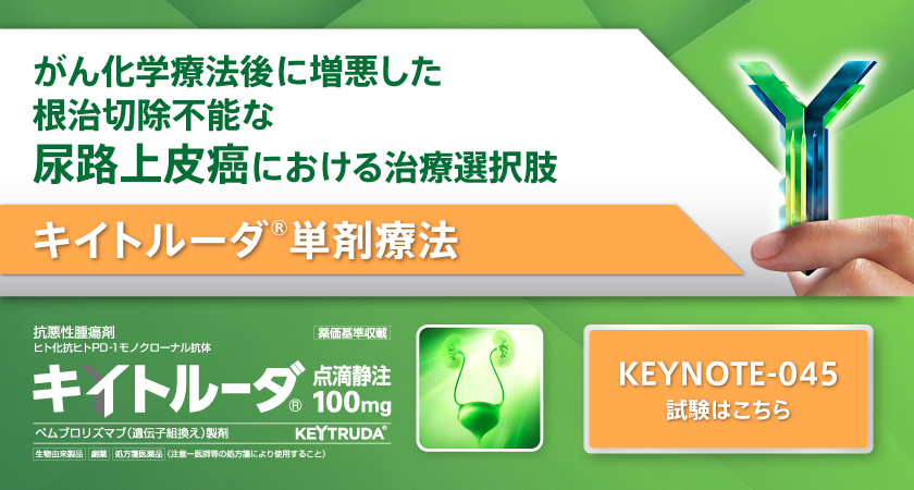 がん化学療法後に増悪した根治切除不能な尿路上皮癌における治療選択肢「キイトルーダ®単剤療法」KEYNOTE-045試験はこちら