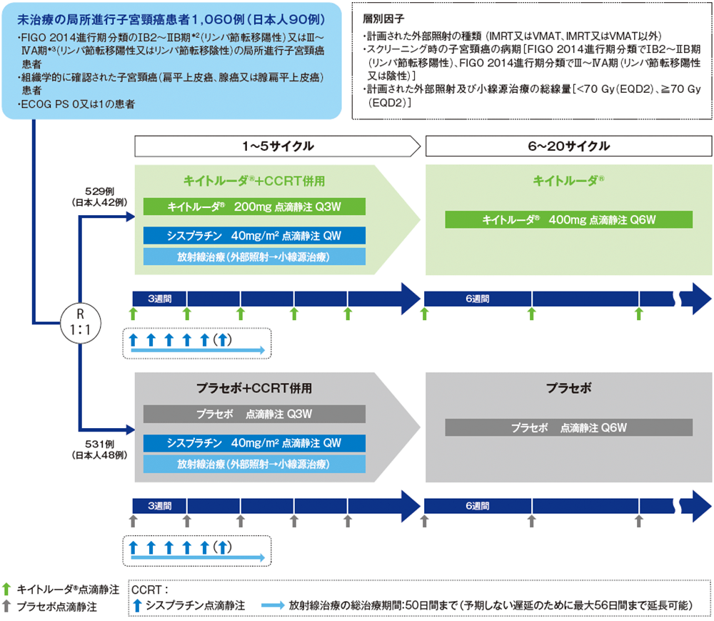 試験デザイン