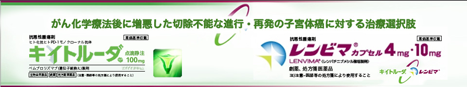 進行·再発の子宮体癌に対する　治療選択肢