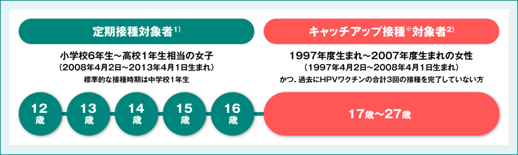 HPVワクチンの公費助成 2024年度の対象年齢