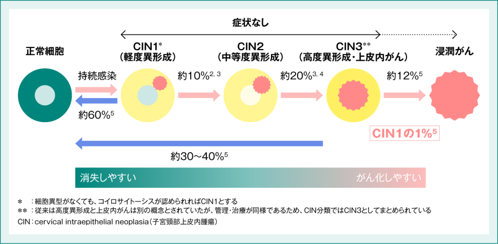 HPV感染と子宮頸がんへの進行1