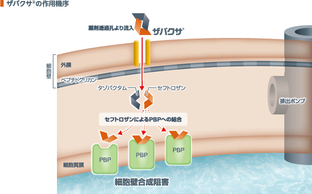 ザバクサの作用機序