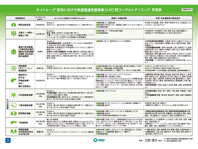 irAE別コンサルトタイミング早見表B4サイズ下敷き